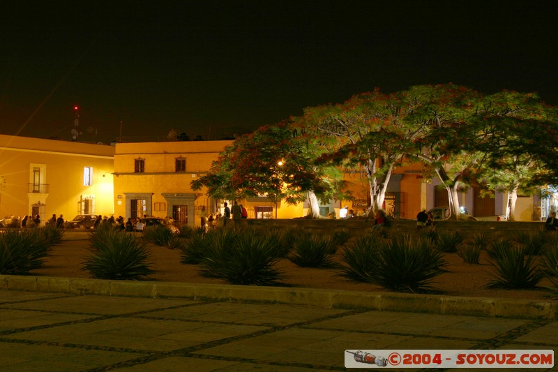 Oaxaca - Calle Alcala
Mots-clés: Nuit patrimoine unesco