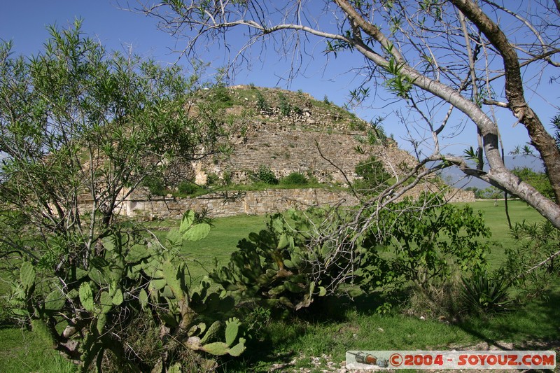 Monte Alban - Plate-forme sud
Mots-clés: Ruines patrimoine unesco