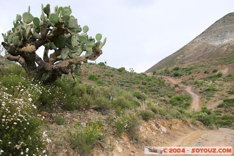 Real de Catorce
