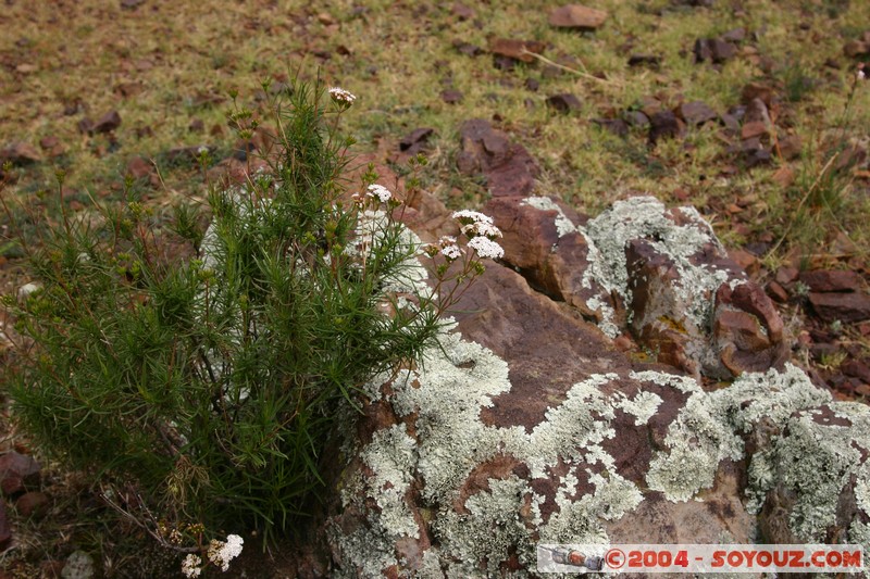 Real de Catorce
