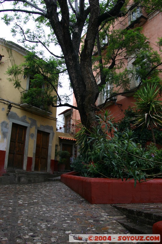 Guanajuato
Mots-clés: patrimoine unesco