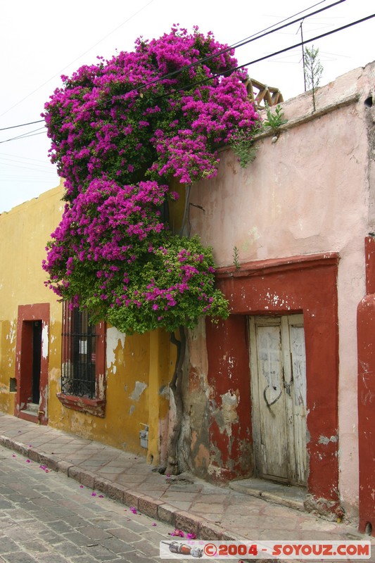 Queretaro
Mots-clés: patrimoine unesco