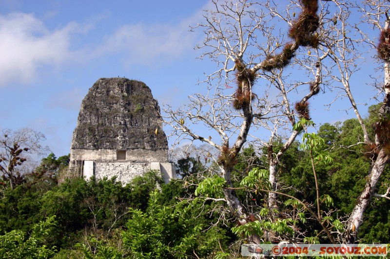 Sommet du temple V
