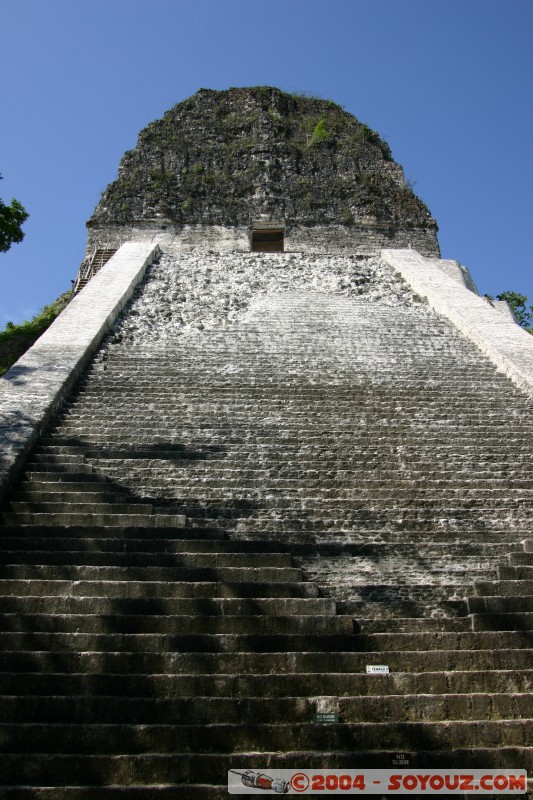 Temple V
