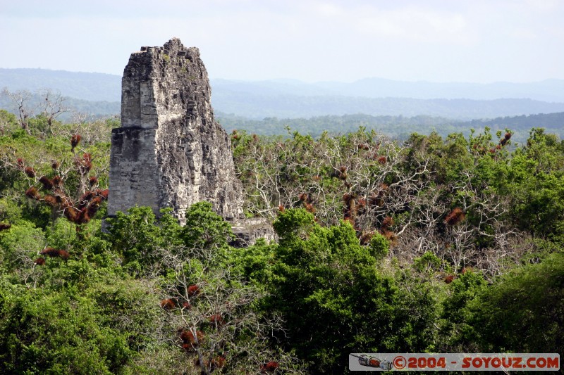 Sommet temple II
