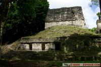 IMG_1773.jpg