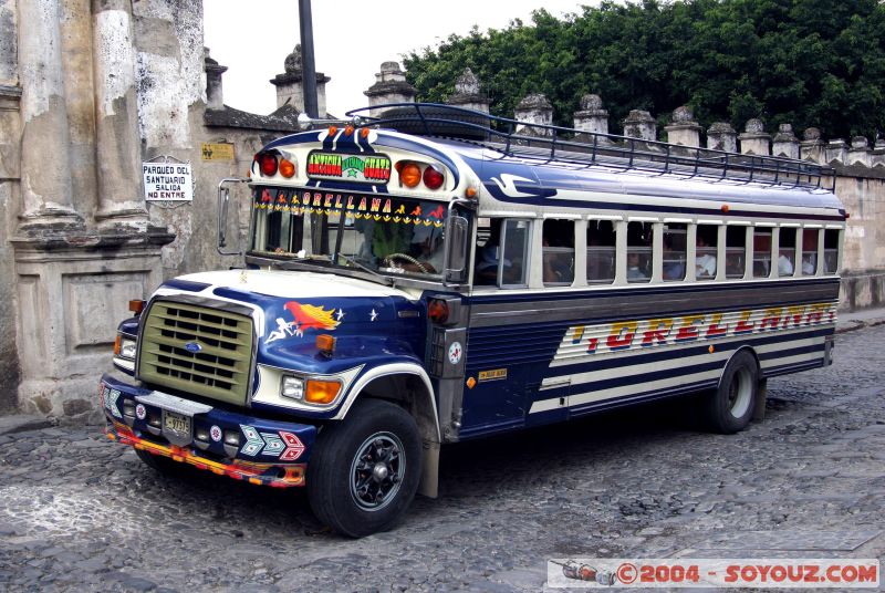 Bus local
