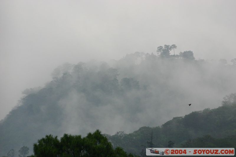 Brouillard sur les collines
