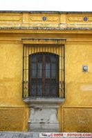 IMG_4206.jpg