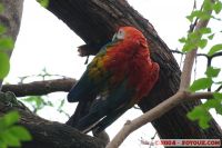 IMG_6101.jpg