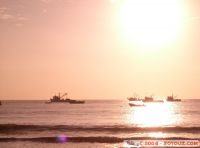 CIMG0905.jpg