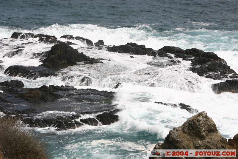 Isla de La Plata
Mots-clés: Ecuador