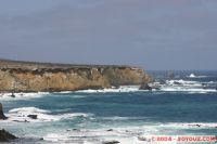 IMG_6296.jpg