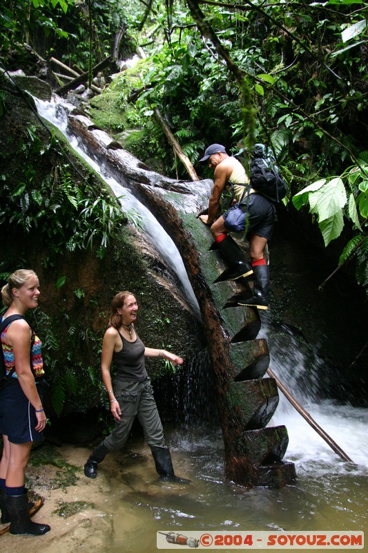 Jungle Trek
Mots-clés: Ecuador cascade