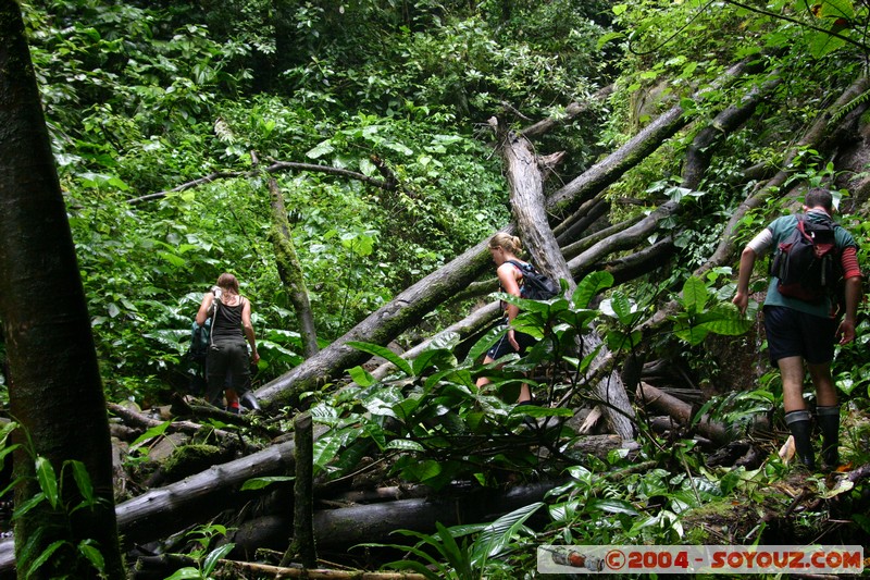 Jungle Trek
Mots-clés: Ecuador