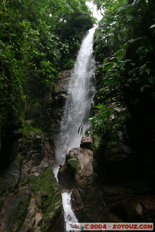 Jungle Trek
Mots-clés: Ecuador cascade