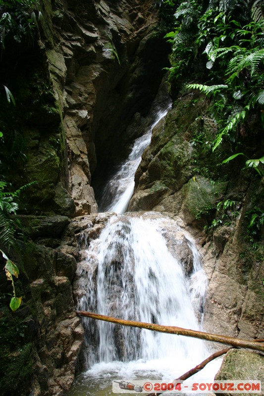 Jungle Trek
Mots-clés: Ecuador cascade