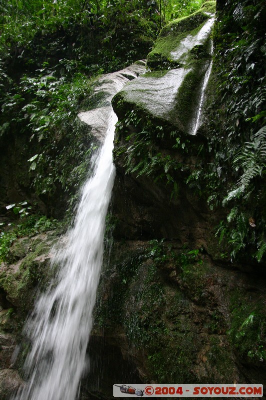 Jungle Trek
Mots-clés: Ecuador cascade