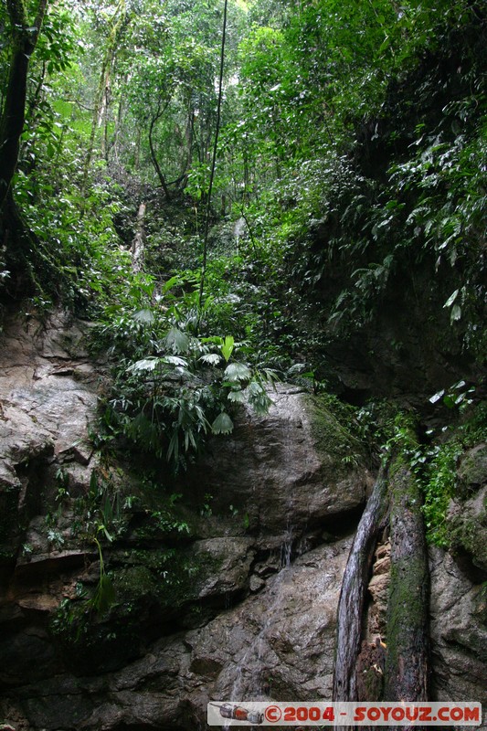 Jungle Trek
Mots-clés: Ecuador cascade