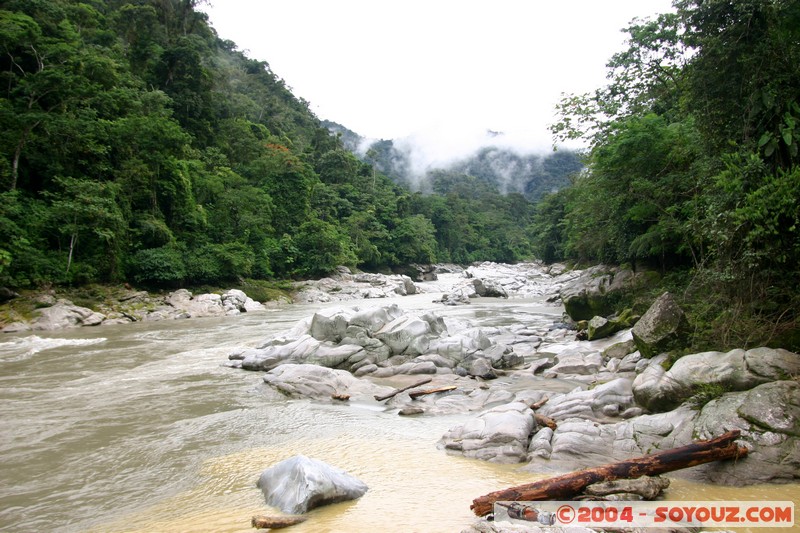 Jungle Trek - Rio Jatunyacu
Mots-clés: Ecuador Riviere