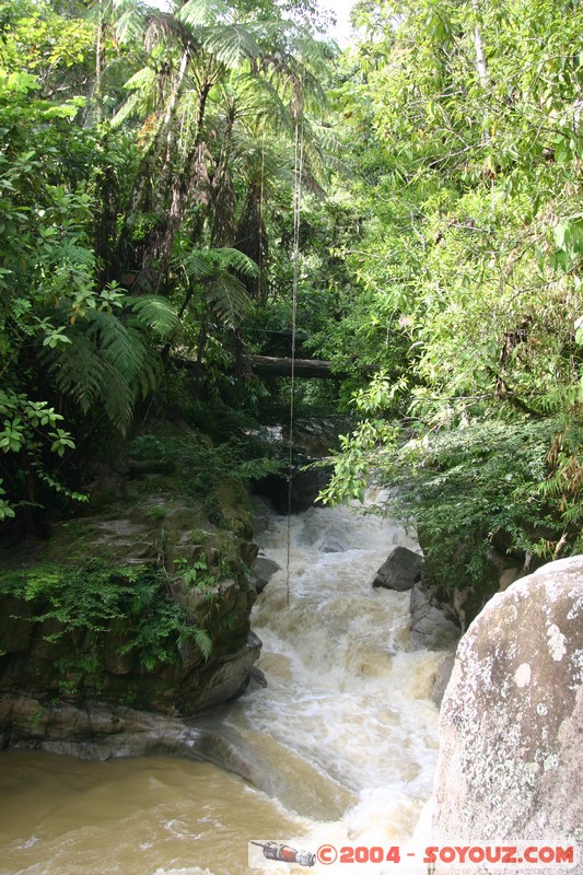 Jungle Trek - Rio Jatunyacu
Mots-clés: Ecuador Riviere