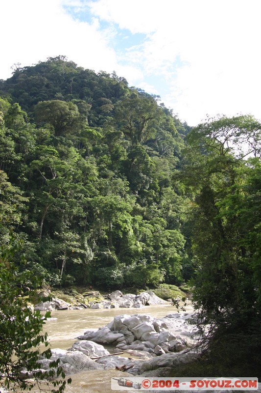 Jungle Trek - Rio Jatunyacu
Mots-clés: Ecuador Riviere