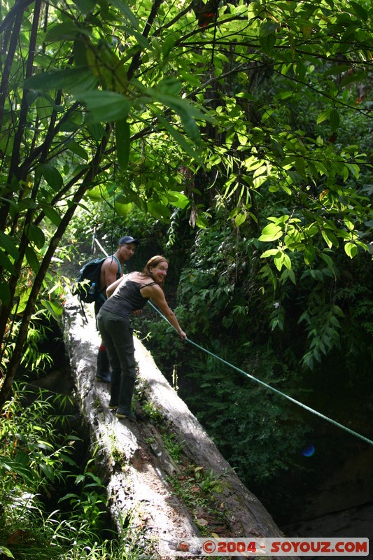 Jungle Trek
Mots-clés: Ecuador