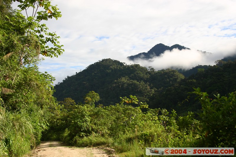 Jungle Trek
Mots-clés: Ecuador