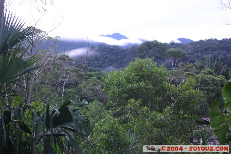 Jungle Trek - Rio Jatunyacu
Mots-clés: Ecuador Riviere