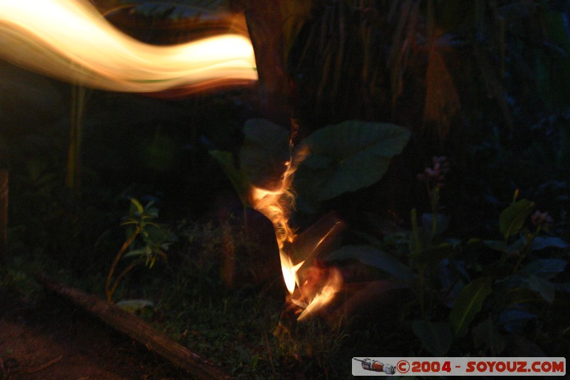 Jungle Trek - Ghost
Mots-clés: Ecuador Nuit Insolite