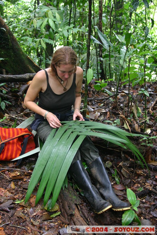 Jungle Trek - Tressage
Mots-clés: Ecuador