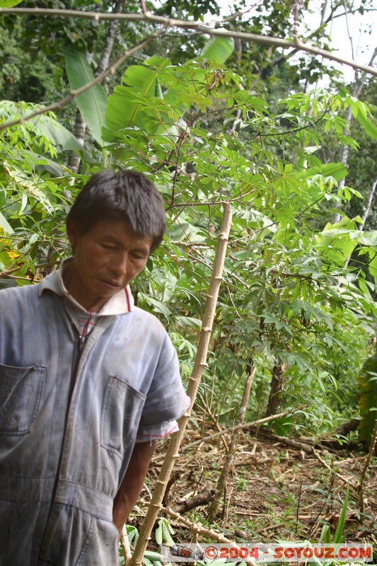 Jungle Trek - Recolte de la racine de Yuca (manioc)
Mots-clés: Ecuador