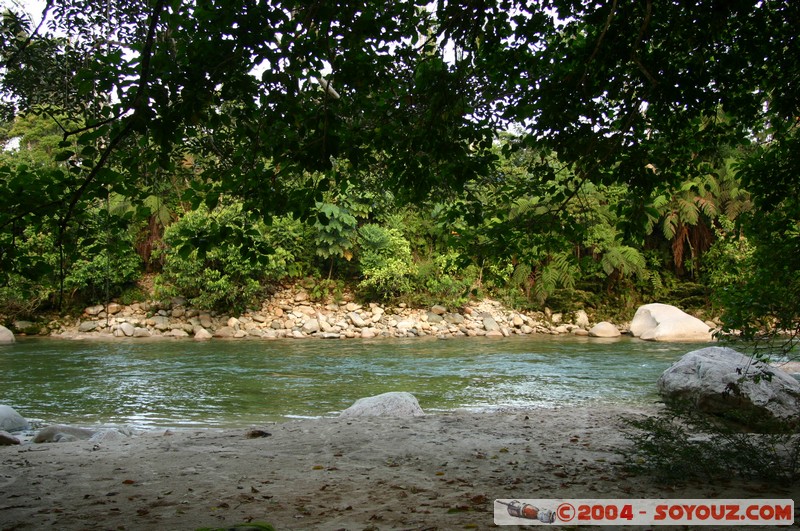 Jungle Trek - Rio Pibi
Mots-clés: Ecuador Riviere