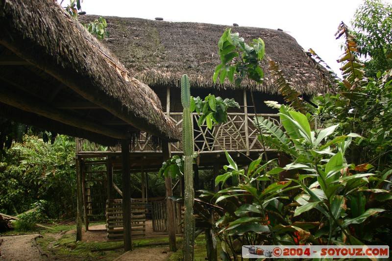 Jungle Trek - cabinas Limoncocha
Mots-clés: Ecuador
