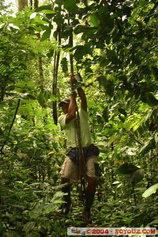 Rio Napo - Tarzan
Mots-clés: Ecuador Riviere