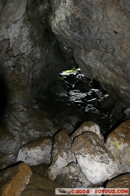 Cavernas Jumandy
Mots-clés: Ecuador grotte