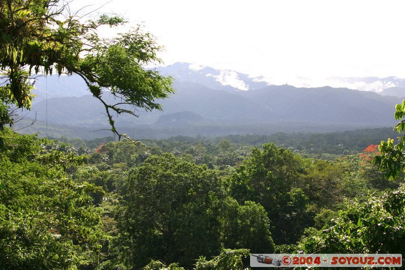 Tena - Parque Amazonico
Mots-clés: Ecuador