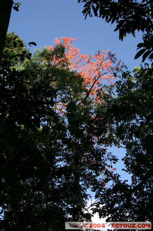 Tena - Parque Amazonico
Mots-clés: Ecuador