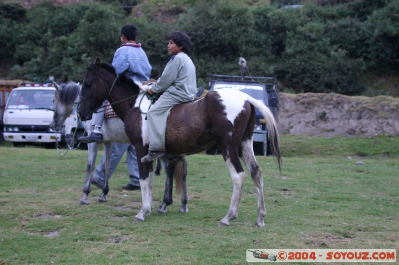 Otavalo - Marche aux bestiaux
