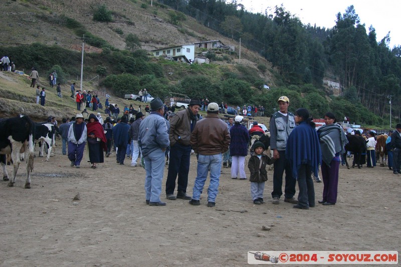 Otavalo - Marche aux bestiaux
Mots-clés: Ecuador Marche personnes