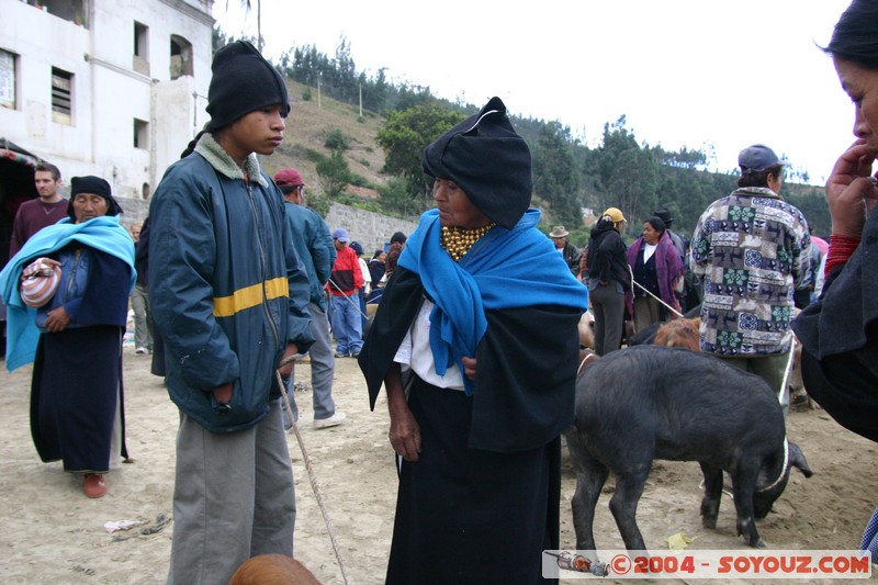 Otavalo - Marche aux bestiaux
Mots-clés: Ecuador Marche animals cochon personnes