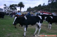 IMG_6987.jpg