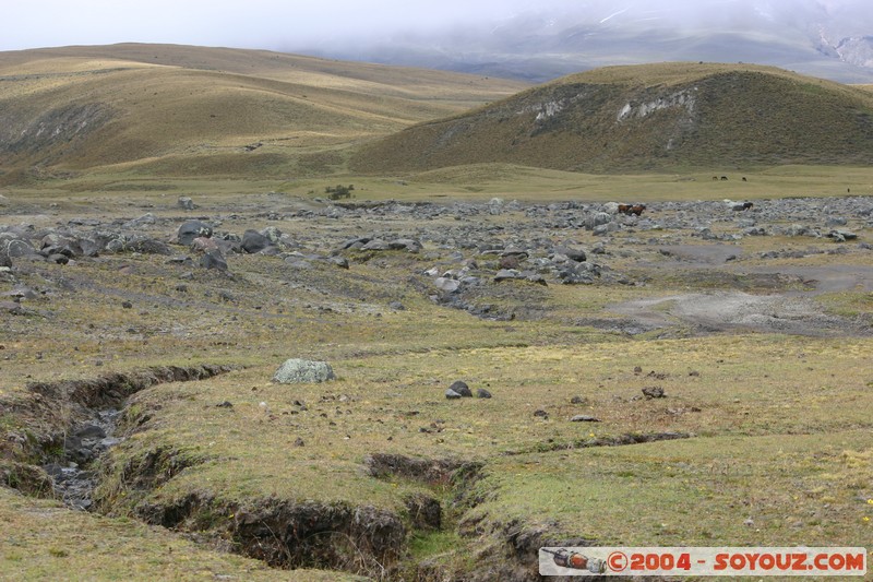 Cotopaxi
Mots-clés: Ecuador volcan animals cheval