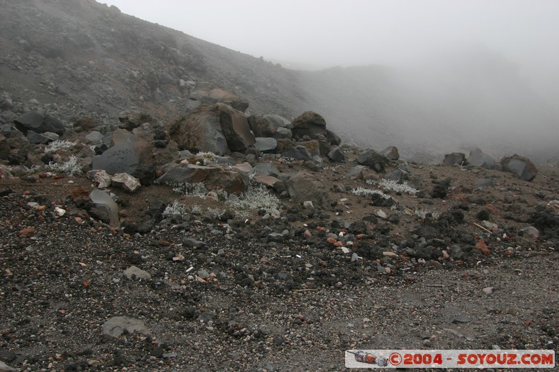 Cotopaxi
Mots-clés: Ecuador volcan