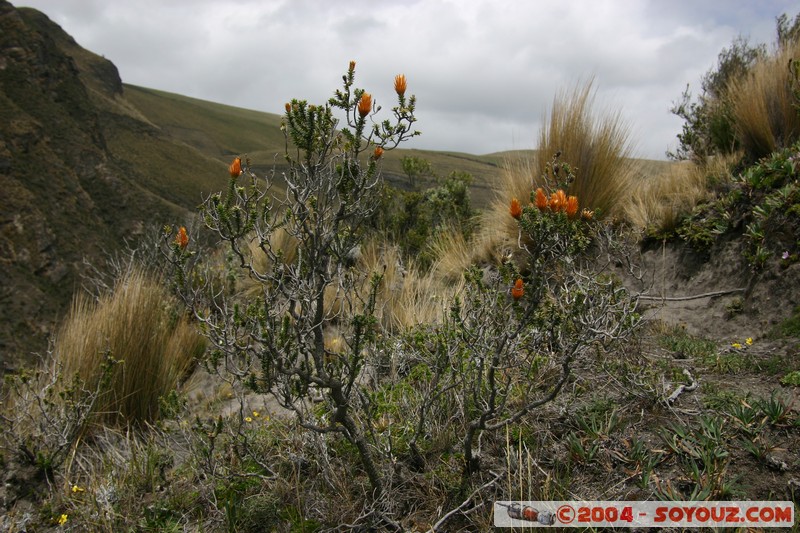 Chimborazo
Mots-clés: Ecuador volcan