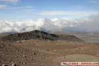 IMG_7710.jpg