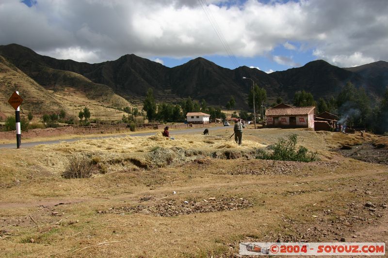 Taray
Mots-clés: peru Valle Sagrado de los Incas