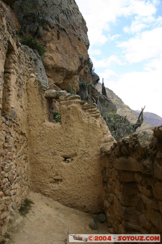 Ollantaytambo
Mots-clés: peru Valle Sagrado de los Incas Ruines Incas