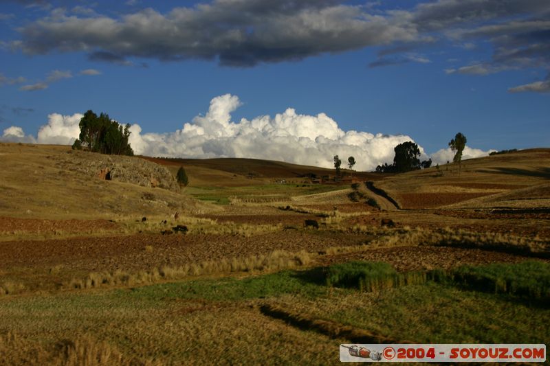 Valle Sagrado de los Incas
Mots-clés: peru Valle Sagrado de los Incas paysage sunset