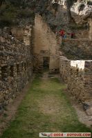 IMG_8155.JPG